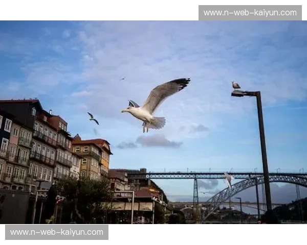 蓝色之魂的呐喊：沙尔克与波尔图，一段不灭的传奇交织